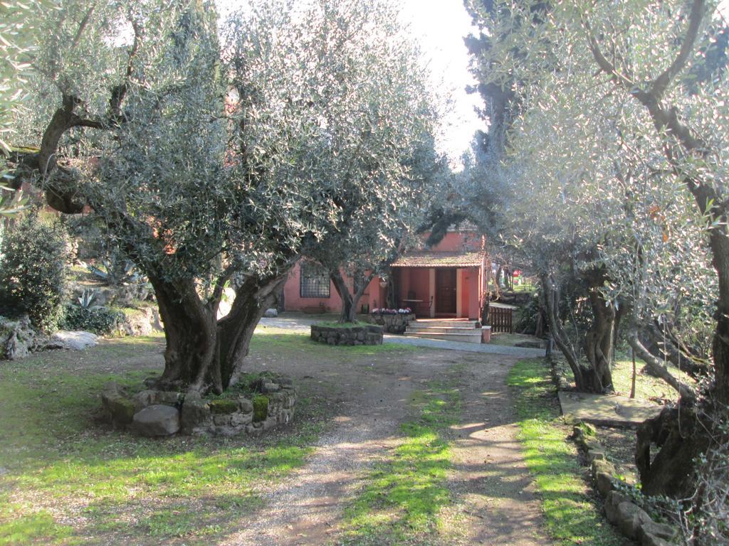 La Dolce Casetta Гроттаферрата Экстерьер фото